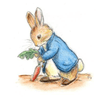 Peter Rabbit's Playschool - Umhlanga & Umhlali branches logo